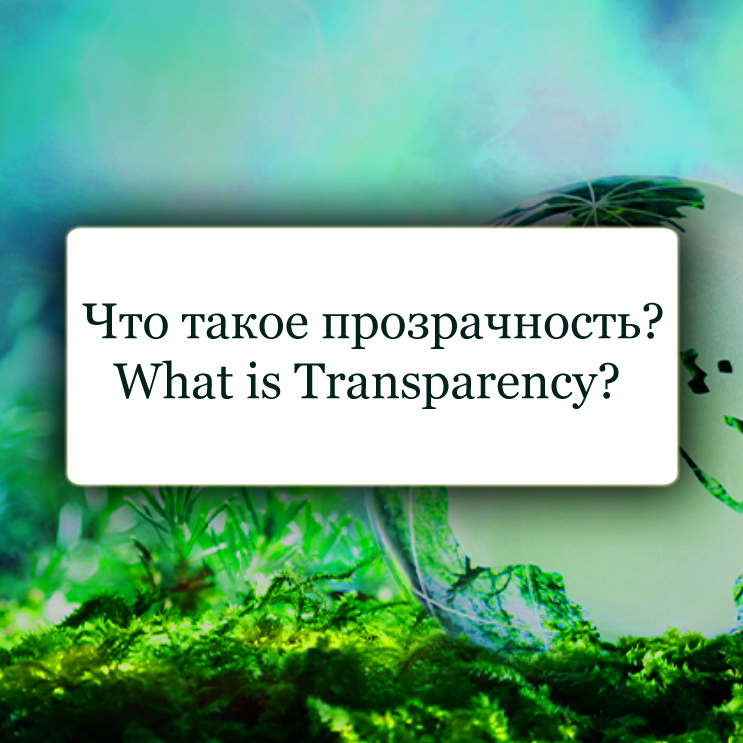  What is Climate Action Transparency and why it’s important?