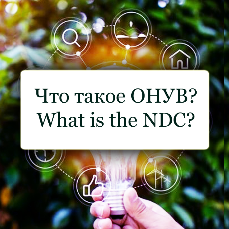 What are NDCs?