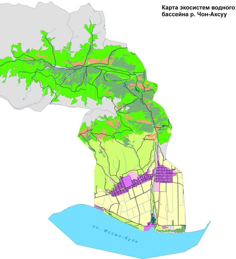 GIS Ecosystem map, Chon-Aksuu river