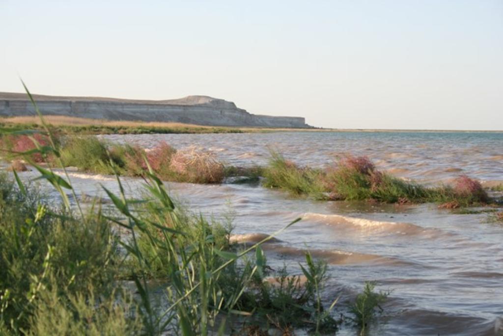 World Wetlands Day on the Anniversary of the Ramsar Convention