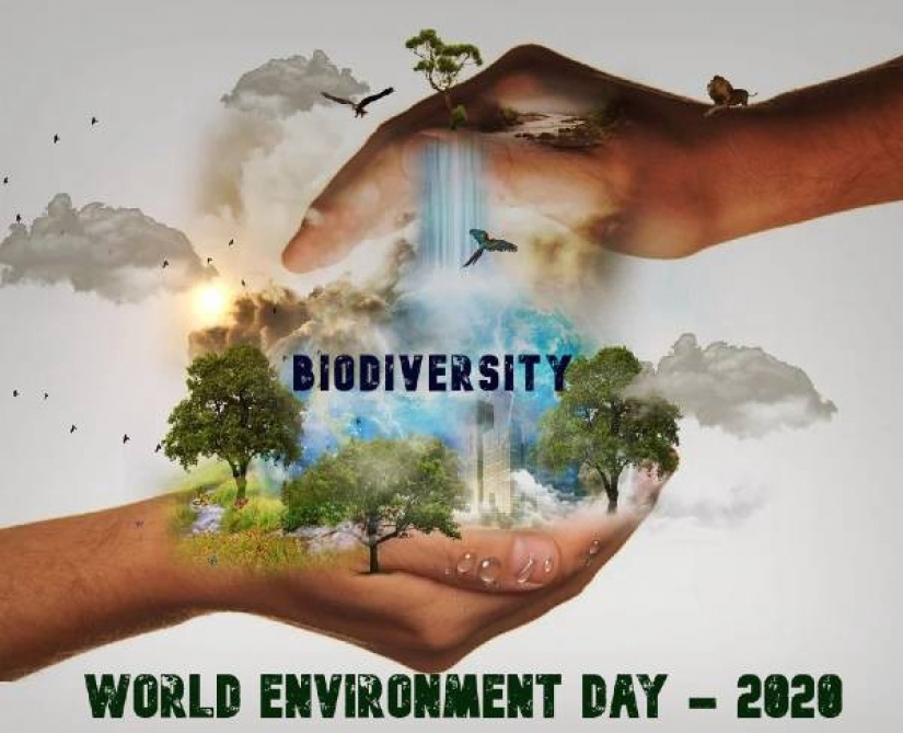 World Environment Day: ecological education and raising awareness 