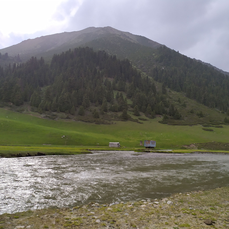 Экологические аспекты Общих страновых обзоров Кыргызстана и Таджикистана  