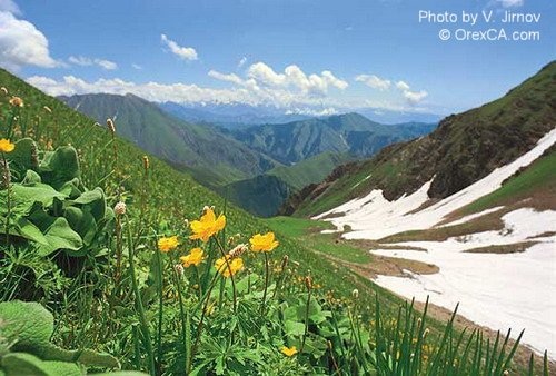 Two meetings of the research project on climate change and project MONECA on forest management and biodiversity were held in Dushanbe