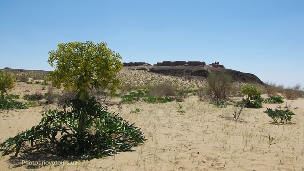 Uzbekistan Resilient Landscape Restoration project: regional component