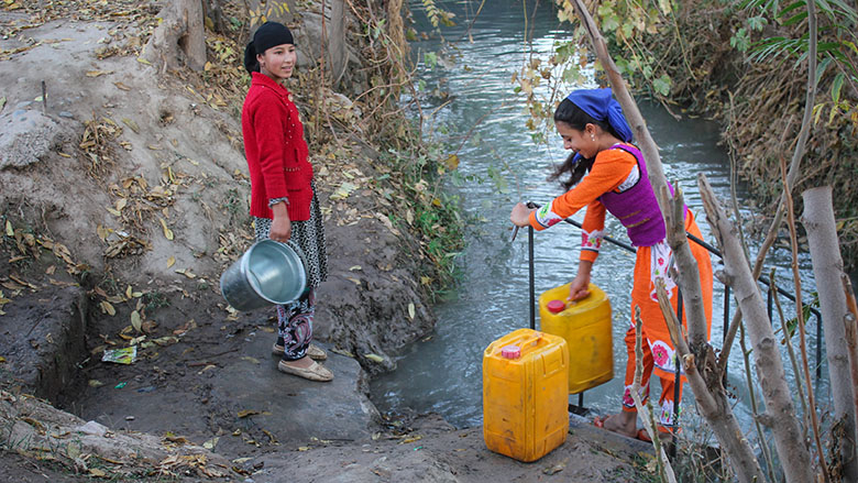 Mentorship and Career Development Program for Women in Water Resource Management in Central Asia and Afghanistan - Women in Water Resource Management Network in CA and Afghanistan