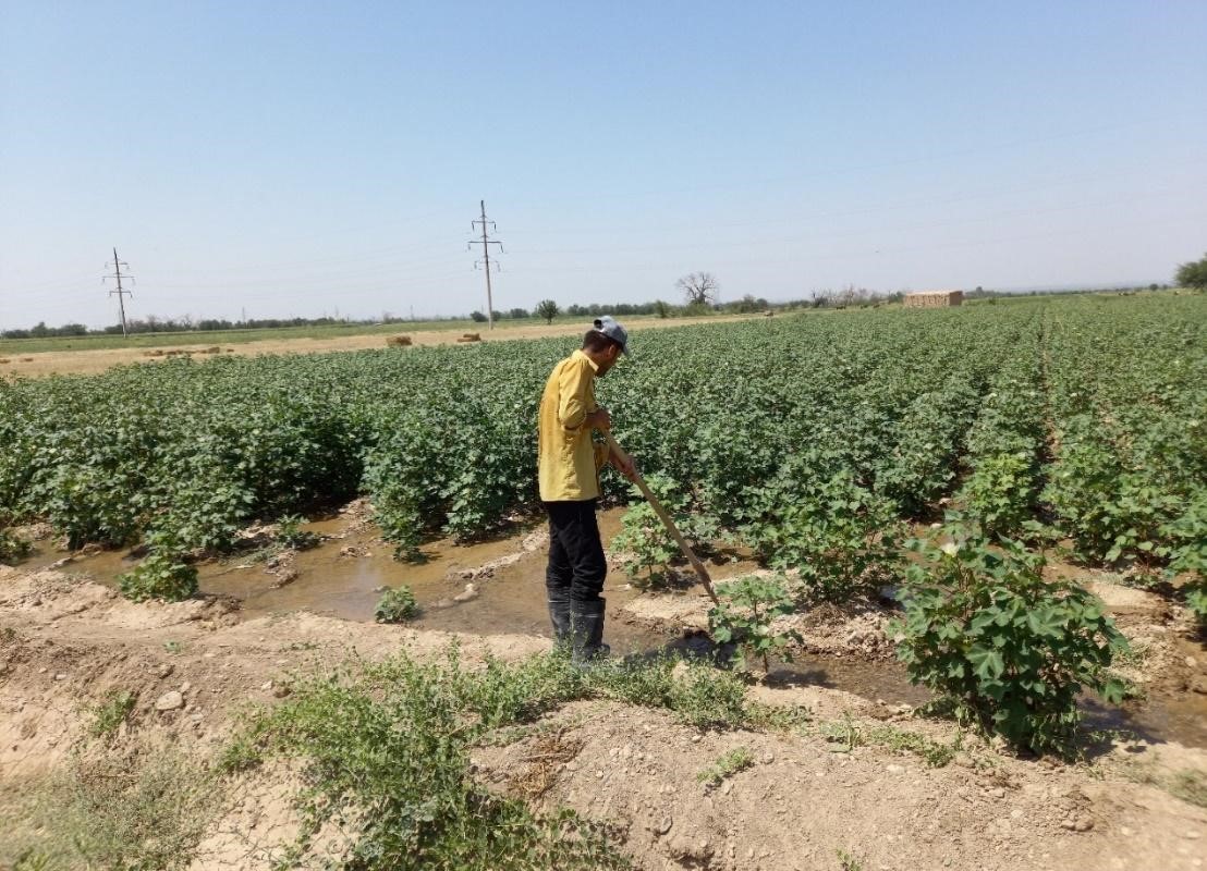 Министерства Таджикистана обсудили проекты по содействию водной, энергетической и продовольственной безопасности