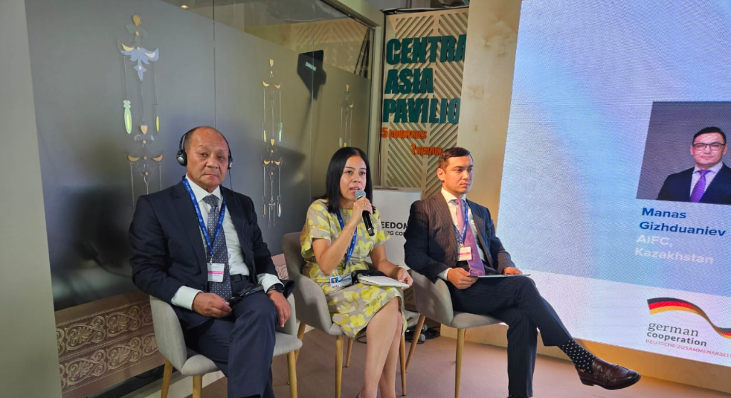 How to Boost Climate Financing in Central Asia?