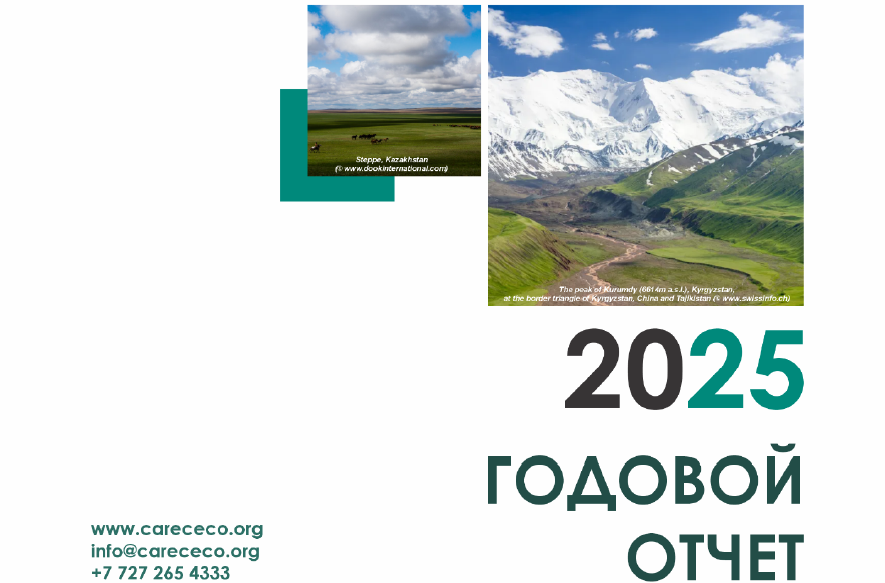 Годовой отчет РЭЦЦА 2025