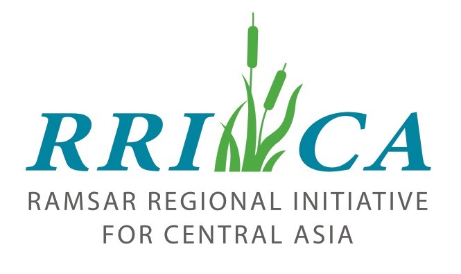 A regular meeting of the RRI-CA Steering Committee was held online